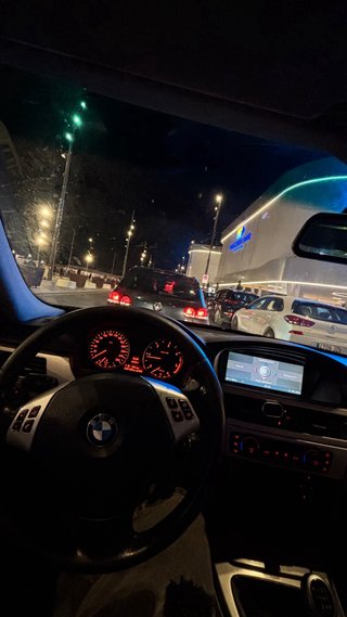 BMW Serie 3 2006