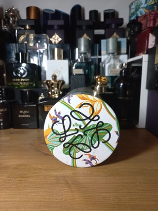 Loewe Paula's Ibiza Eclectic 100ml Descatalogado