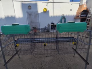 2 Jaulas Gallinas 3 Departamentos