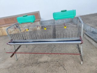 2 Jaulas Gallinas 3 Departamentos