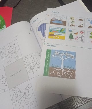 Libro Coneixement del Medi 1er grado de primaria