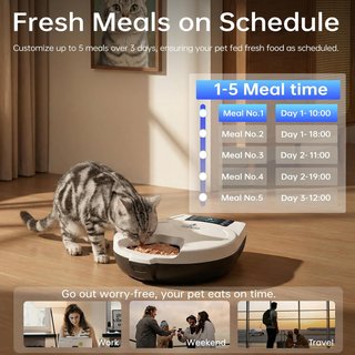 Mangiatoia automatica per gatti