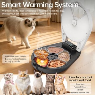 Mangiatoia automatica per gatti