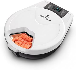 Mangiatoia automatica per gatti