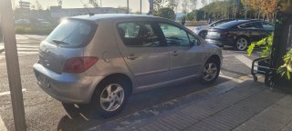 Peugeot 307 2004