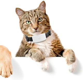 TKSTAR TK911 GPS Rastreador Mascota 3G/2G 33G