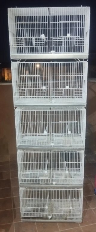 Jaula cria canarios 60cm lacada con bandeja