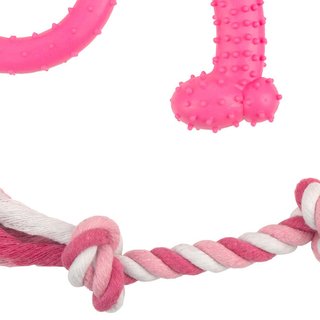 Set 4 mordedores para cachorros rosa