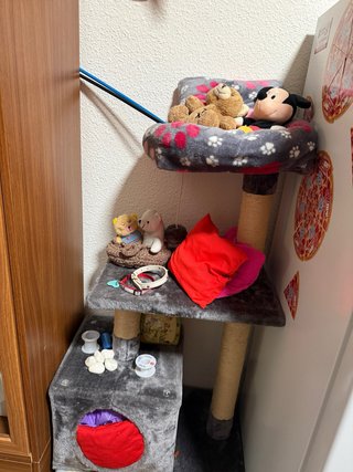 Casa para gatos de varias plantas