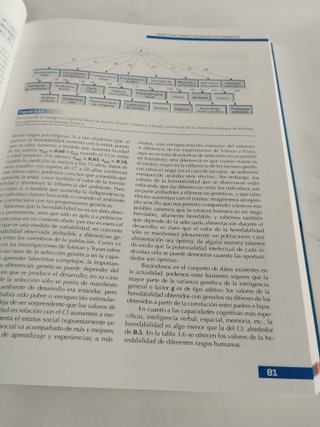 Fundamentos de Psicobiología - Sanz y Torres - 978841646626