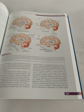 Fundamentos de Psicobiología - Sanz y Torres - 978841646626