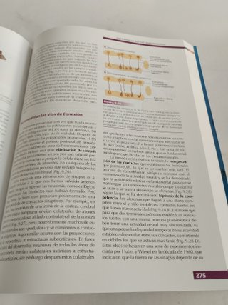 Fundamentos de Psicobiología - Sanz y Torres - 978841646626
