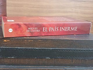 El País Inerme – Miguel de Castro