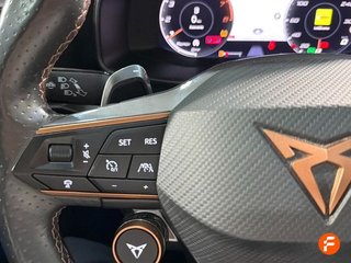 Cupra Formentor 2.0 TSI 228kW (310 CV) VZ 4Drive DSG