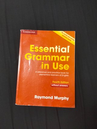 Essential Grammar in Use without Answers A Refe...