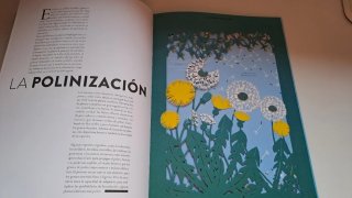 Libro "El Cielo"