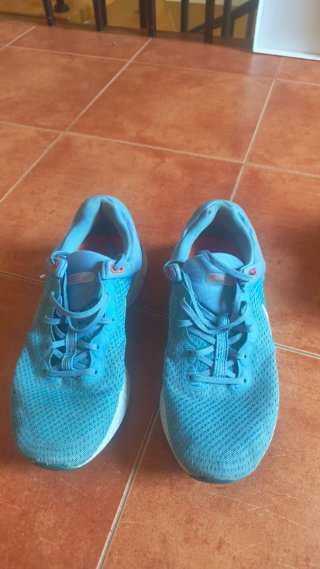 Zapatillas Nike Running Azul/Verde