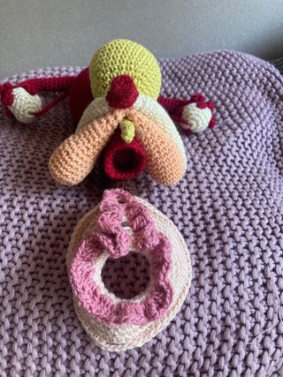 Figura Anatómica Femenina a Crochet