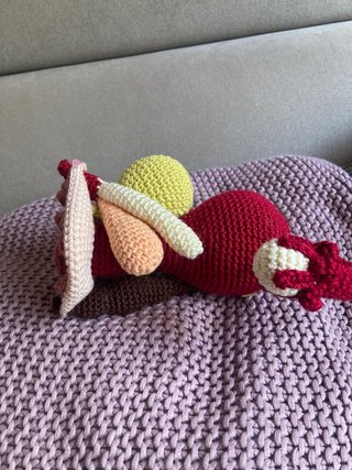 Figura Anatómica Femenina a Crochet