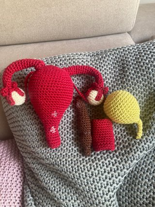 Figura Anatómica Femenina a Crochet