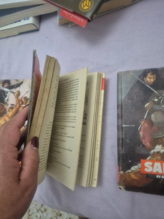 Lote de libros salgari