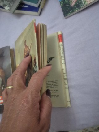 Lote de libros salgari
