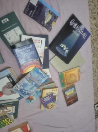 Lote de libros