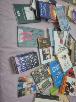 Lote de libros
