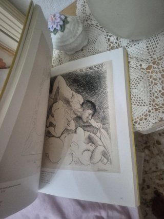 Picasso diario intimo