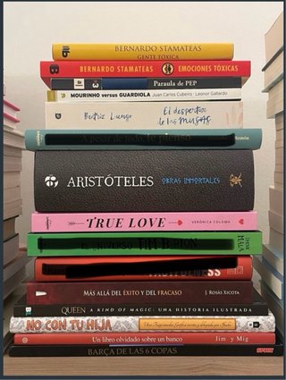 Lote de libros sin uso.