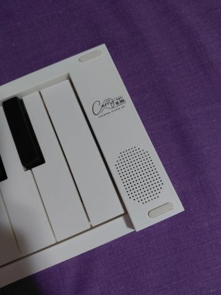 Teclado Plegable CARRY ON 49 Teclas