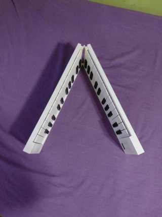 Teclado Plegable CARRY ON 49 Teclas