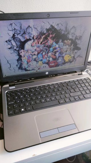 Portátil HP g255 G3 Negro y plata