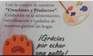 Pendientes Gatitos Largos solidarios