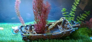 Barco decorativo para acuario