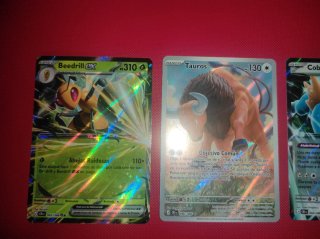 Lote cartas Pokémon: Beedrill, Tauros, Cobalion