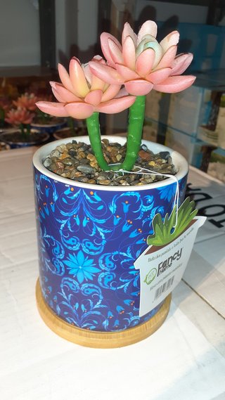 Pianta artificiale Fancy Home