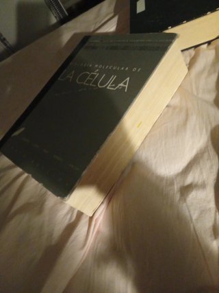 Libro Biología molecular de la célula
