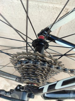 Bicicleta Giant TCR Carbono Carretera