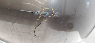 PARAGOLPES TRASERO NISSAN PRIMERA TRAV. (P12) Acenta