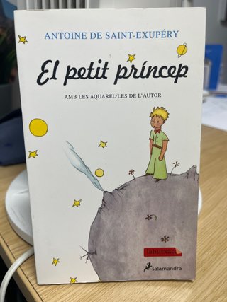 El petit príncep