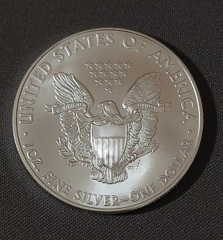 6 Onzas de Plata 999  Eagles 2009