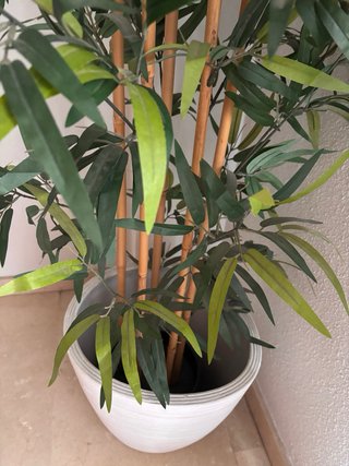 Planta artificial bambú con maceta blanca