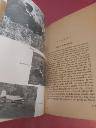 Tigres, osos y shikaris - cacerías en la India ...