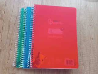 3 Cuadernos A5 pautaguía espiral tapa plástico