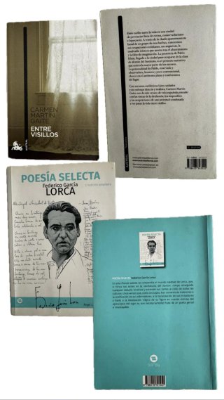 Lotes de libros negociables