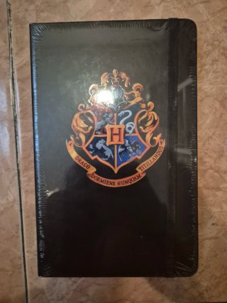 Pack Harry Potter: 2 libretas, bolis y estuche