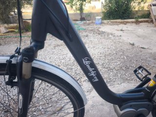Bicicleta eléctrica