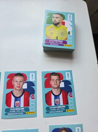Lote Cromos Panini Mundial 2026 (Messi)