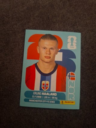 Carta Mundial FIFA Erling Haaland Panini